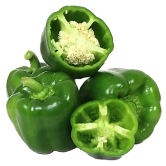 Capsicum