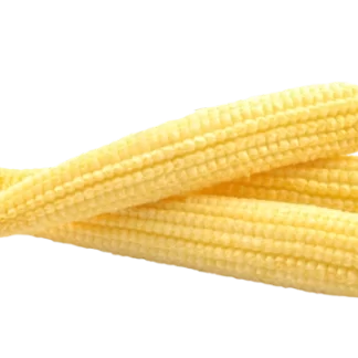 Babycorn